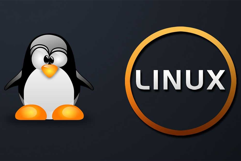 Linux目录结构详解与实用指南