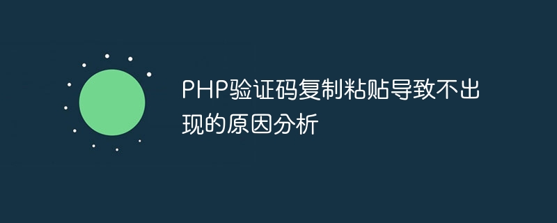 php验证码复制粘贴导致不出现的原因分析