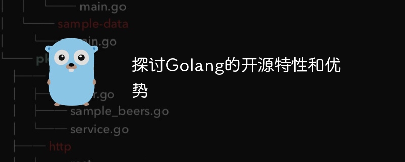 探讨golang的开源特性和优势