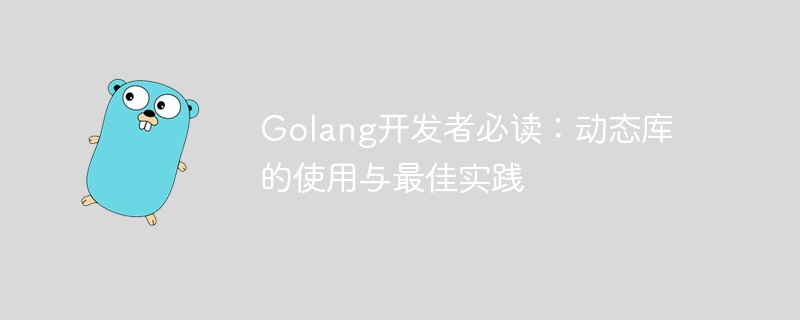 golang开发者必读：动态库的使用与最佳实践