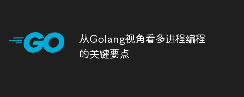 从golang视角看多进程编程的关键要点