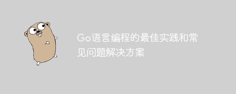 go语言编程的最佳实践和常见问题解决方案