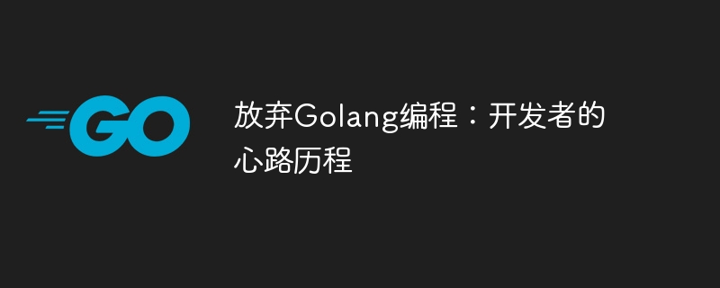 放弃golang编程：开发者的心路历程