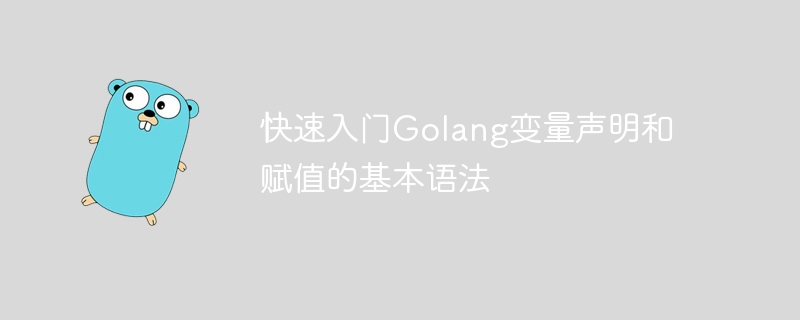 快速入门golang变量声明和赋值的基本语法