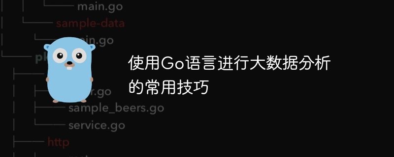 使用go语言进行大数据分析的常用技巧