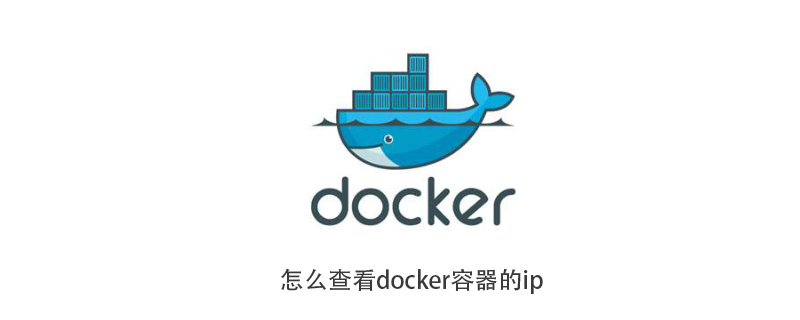 怎么查看docker容器的ip