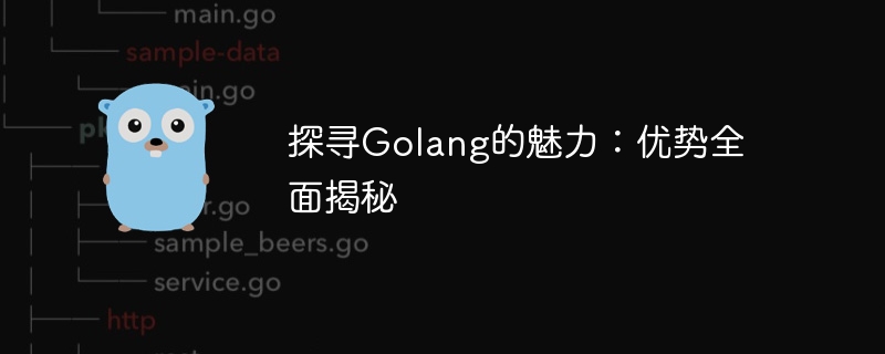 探寻golang的魅力：优势全面揭秘