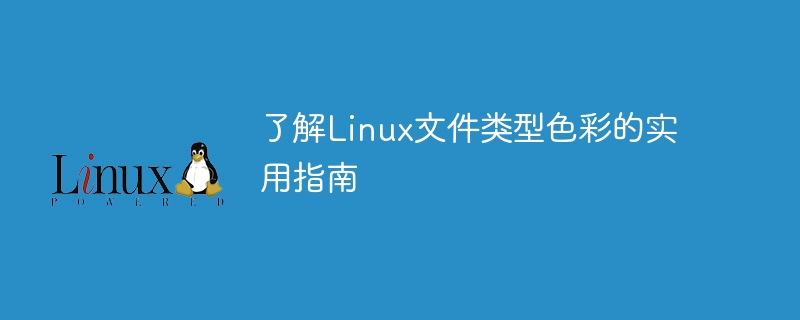 了解linux文件类型色彩的实用指南