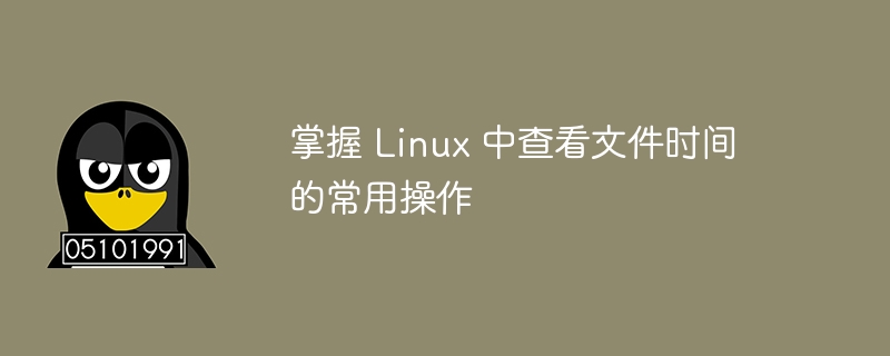 掌握 linux 中查看文件时间的常用操作