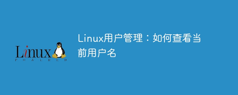 linux用户管理：如何查看当前用户名