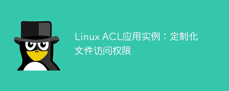 linux acl应用实例：定制化文件访问权限