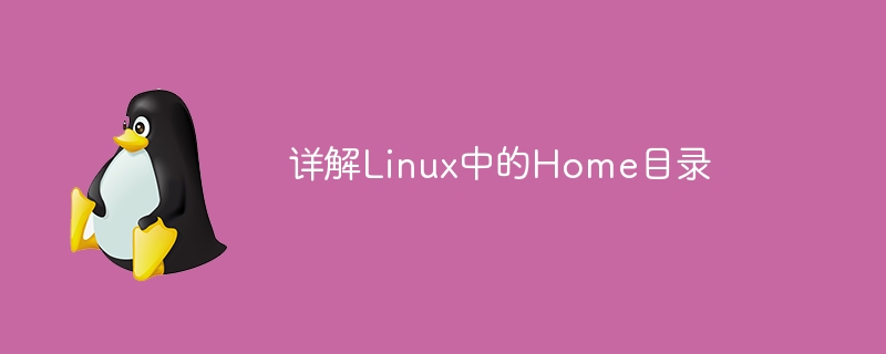 详解linux中的home目录