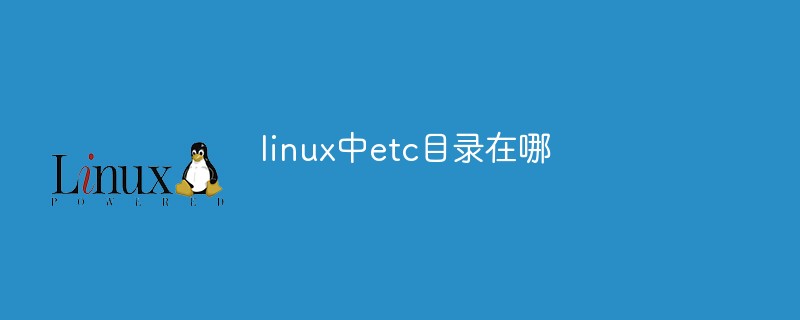 linux中etc目录在哪