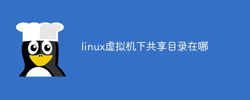 linux虚拟机下共享目录在哪