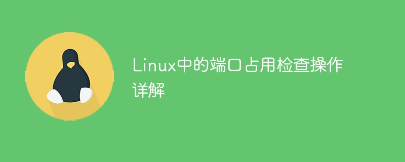 linux中的端口占用检查操作详解