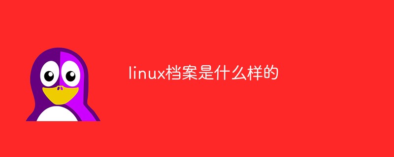 linux档案是什么样的