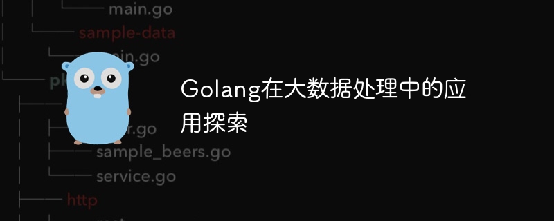 golang在大数据处理中的应用探索