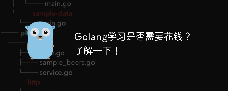 golang学习是否需要花钱？了解一下！