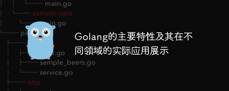 golang的主要特性及其在不同领域的实际应用展示