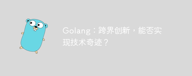 golang：跨界创新，能否实现技术奇迹？