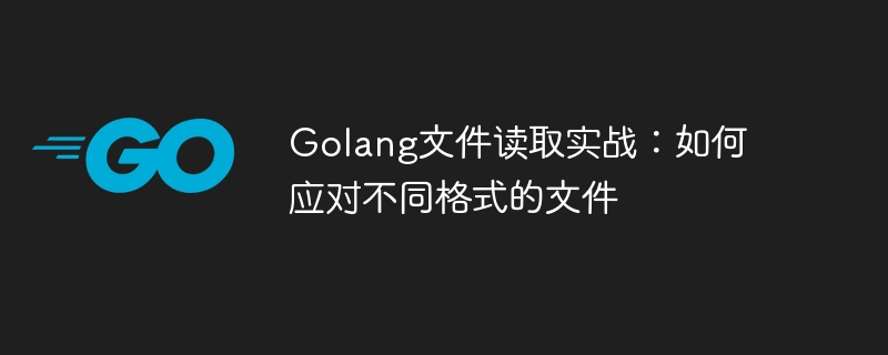 golang文件读取实战：如何应对不同格式的文件