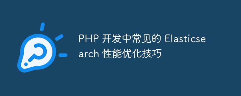 php 开发中常见的 elasticsearch 性能优化技巧