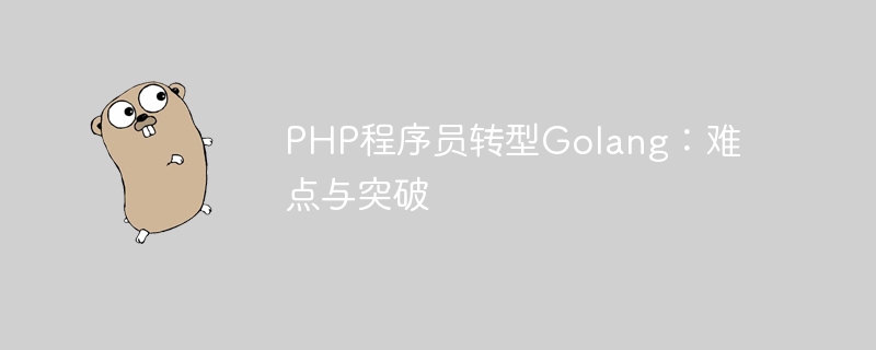 php程序员转型golang：难点与突破