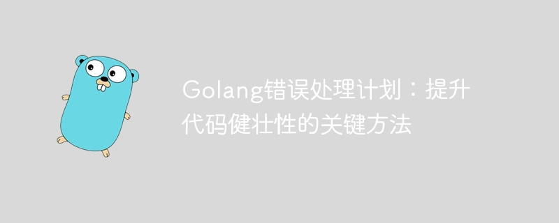 golang错误处理计划：提升代码健壮性的关键方法