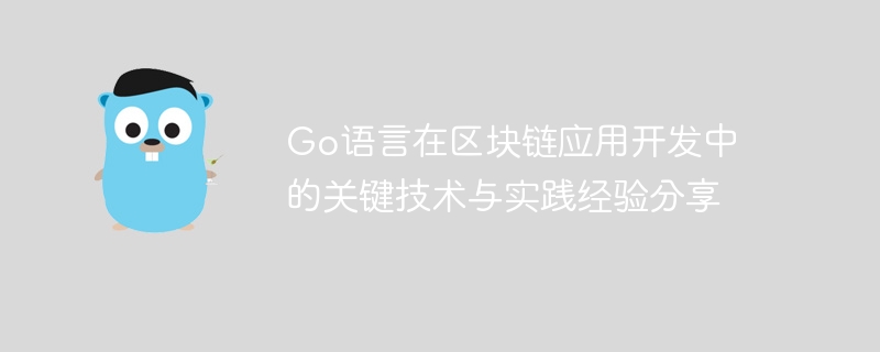 go语言在区块链应用开发中的关键技术与实践经验分享