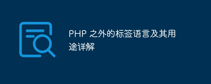 php 之外的标签语言及其用途详解