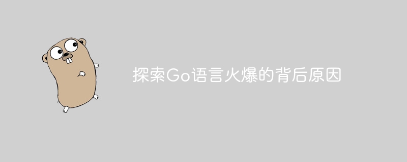 探索go语言火爆的背后原因