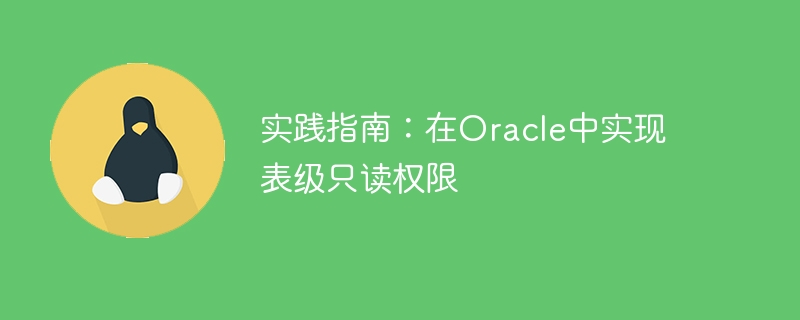 实践指南：在oracle中实现表级只读权限