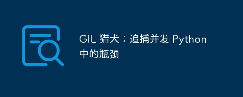 gil 猎犬：追捕并发 python 中的瓶颈