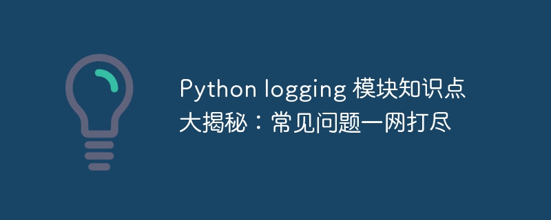 python logging 模块知识点大揭秘：常见问题一网打尽