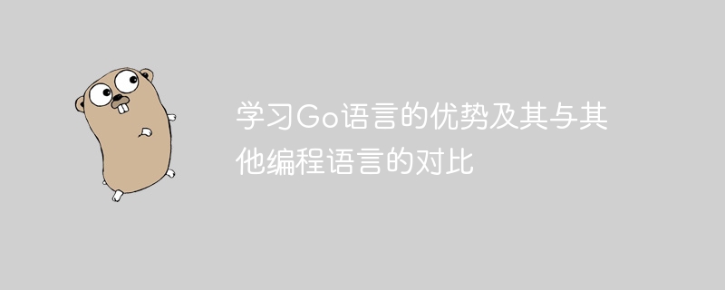 学习go语言的优势及其与其他编程语言的对比