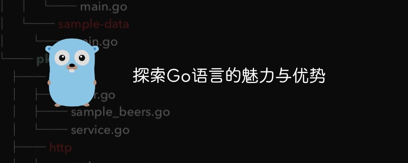 探索go语言的魅力与优势