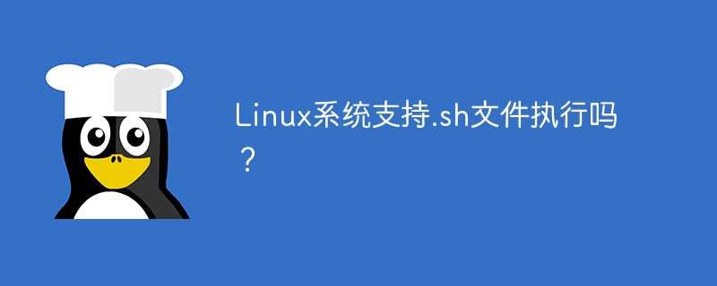 linux系统支持.sh文件执行吗？