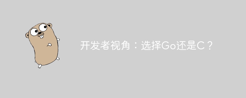 开发者视角：选择go还是c？