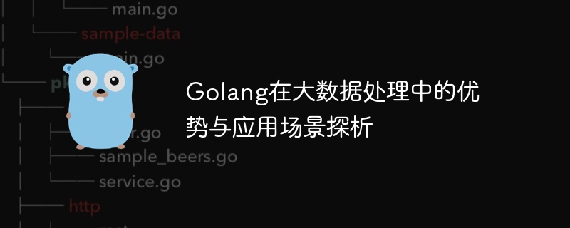 golang在大数据处理中的优势与应用场景探析