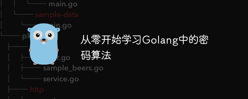 从零开始学习golang中的密码算法