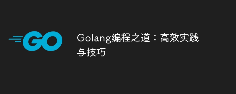 golang编程之道：高效实践与技巧