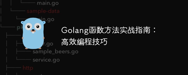 golang函数方法实战指南：高效编程技巧