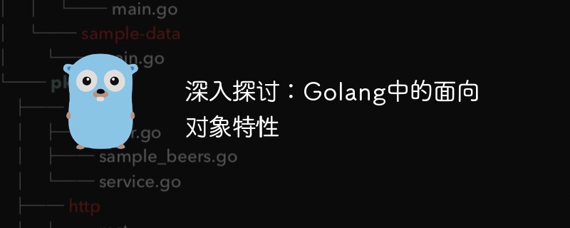 深入探讨：golang中的面向对象特性