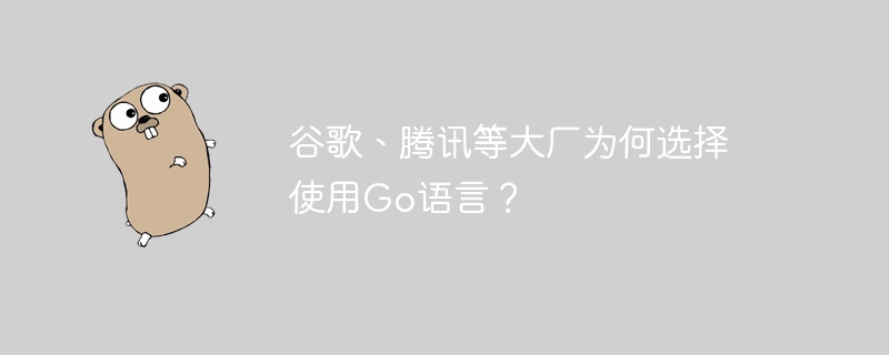 谷歌、腾讯等大厂为何选择使用go语言？