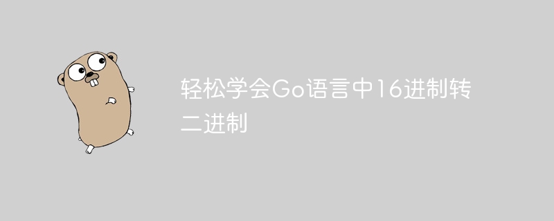 轻松学会go语言中16进制转二进制