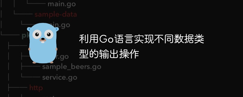 利用go语言实现不同数据类型的输出操作