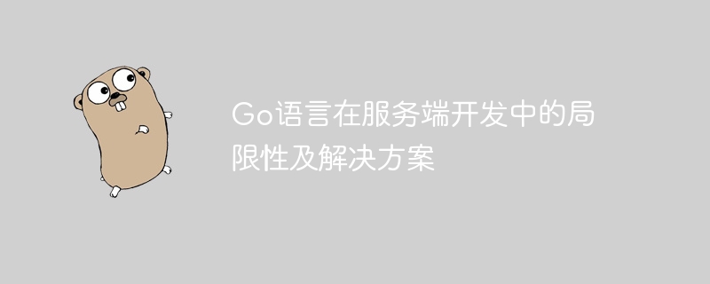 go语言在服务端开发中的局限性及解决方案