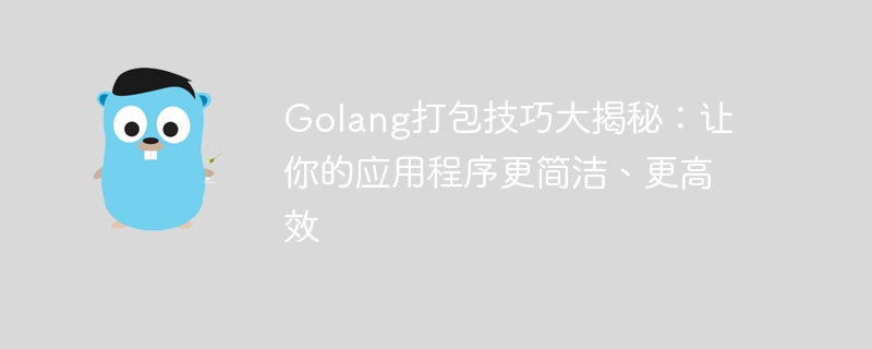 golang打包技巧大揭秘：让你的应用程序更简洁、更高效