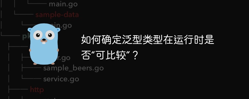 如何确定泛型类型在运行时是否“可比较”？