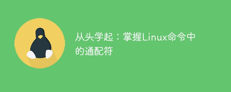 从头学起：掌握linux命令中的通配符